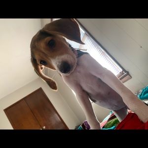 Meet your Posher, Nia